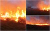 Pompierii s-au luptat mai bine de 7 ore cu un incendiu care a mistuit zeci de hectare, în Botoşani. Au folosit (...)