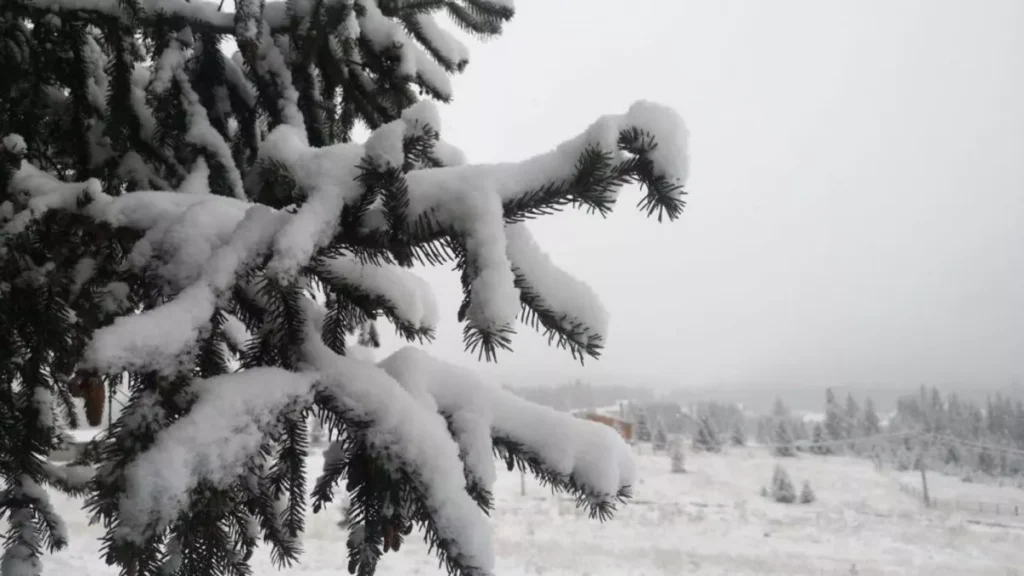 Cum va fi vremea în ianuarie