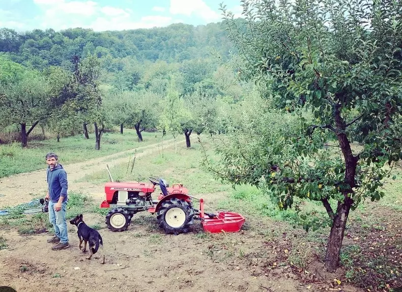 Tratamentul special pe care îl folosește Dragoș Bucur pentru a stropi pomii fructiferi iarna. Este o metodă japoneză