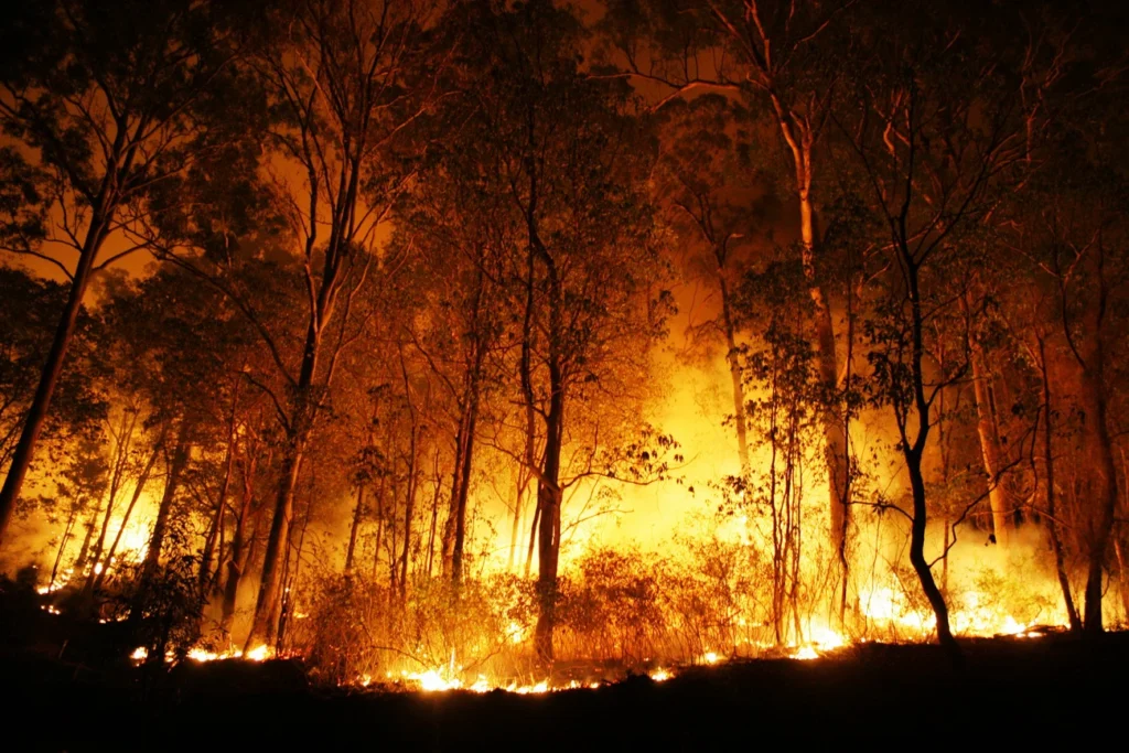 Incendiu de amploare într-o zonă muntoasă din Tirolul de Sud, în Italia