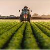 Eurostat: România, pe locul 7 la producția agricolă în Uniunea Eruopeană în 2023 | AUDIO