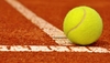 Cezar Creţu, principalul favorit, s-au calificat în semifinalele turneului ITF de la Bacău