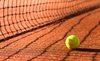 Patricia Ţig, Lavinia Tănăsie şi Oana Simion s-au calificat, vineri, în semifinalele turneului de tenis ITF de la (...)