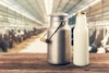 Lupu(Holstein RO ): Ar trebui să se oprească modul în care sume importante pleacă la ferme ce nu produc lapte şi (...)