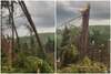 Furtună în Maramureș: pădure de brazi doborâtă, acoperișuri luate de vânt, un bărbat rănit de o prelată, zeci de (...)