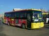 Biletele TCE Ploiești se scumpesc din 2025. Cât va costa o călătorie cu autobuzul sau cu tramvaiul