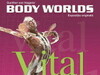 La solicitarea publicului, expoziția BODY WORLDS – Vital extinde perioada de vizitare