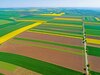 România are printre cele mai ieftine terenuri agricole din UE