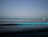 VIDEO FOTO Spectacol fascinant pe litoralul Mării Negre: Fenomenul bioluminiscenței a fost surprins la Constanța