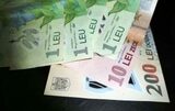 Leul s-a depreciat uşor, marţi, în raport cu euro, dar a crescut faţă de dolarul american