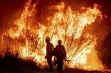 Incendiile de vegetaţie provoacă evacuări şi stare de urgenţă în Carolina de Nord