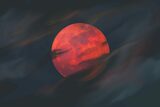 De ce Luna devine roșie în timpul eclipselor totale de Lună?