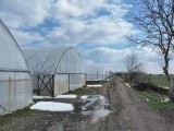 Oficialii din agricultură vor să-i convingă pe fermieri să-și deschidă PFA sau SRL. Care sunt beneficiile