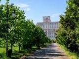 Parcul Izvor - istorie, controverse și importanța sa pentru București