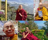 Dalai Lama sfidează China: „Viitorul meu succesor nu se va naște sub regimul comunist”