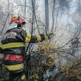 Peste 3.500 ha de teren afectate de arderile de vegetație, în doar 24 de ore. Două persoane au fost rănite, luni, în (…)