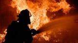 Incendiu în Delta Dunării: se manifestă pe 10 hectare