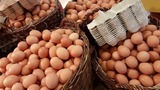 Controverse în Polonia! Supermarketurile preferă ouăle românești în locul celor produse local