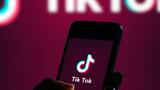 TikTok ar trebui să rămână disponibil americanilor. Casa Albă apără aplicația chinezească, după decizia justiției de (…)