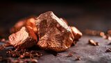 India și Congo ar putea semna un acord de aprovizionare cu cobalt și cupru