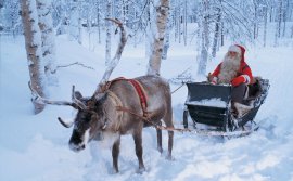 Crăciun fericit!<br>Ultimele ştiri de Crăciun